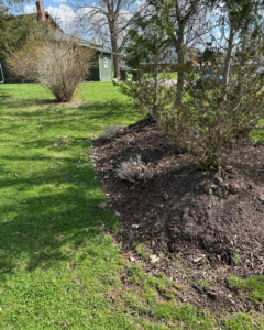 Garden care by Tanner's Lawn and Garden care