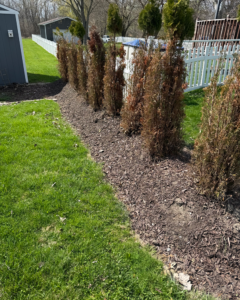 Professional garden care services in Monroe Michigan
