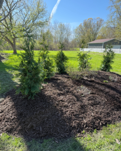 Landscaped garden and lawn care by Tanner's