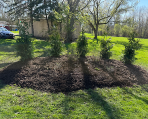 Landscaped garden and lawn care by Tanner's