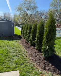 Landscaped garden and lawn care by Tanner's