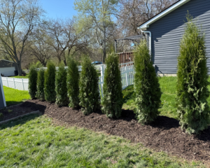 Landscaped garden and lawn care by Tanner's