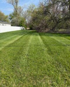 another view of a newly mowed lawn by Tanner's Commercial Lawn Care